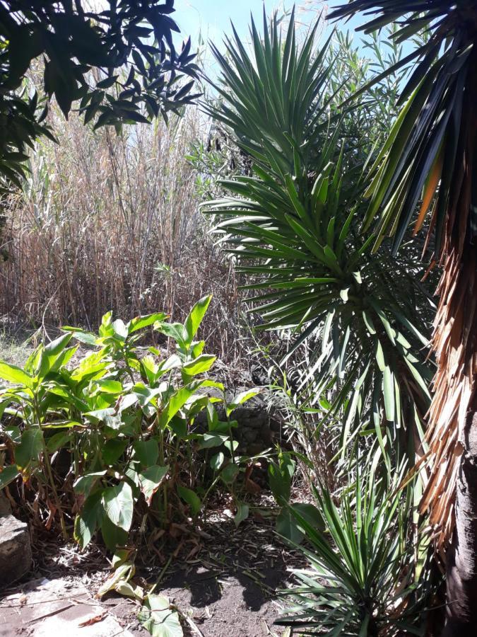 Stromboliparadise Piscita 外观 照片